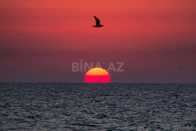 Satılır  torpaq 100 sot, Buzovna q., photo 22 from 28