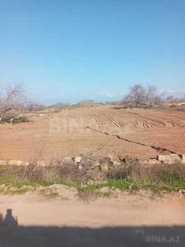 Satılır  torpaq 12 sot, Nardaran q., photo 1 from 5