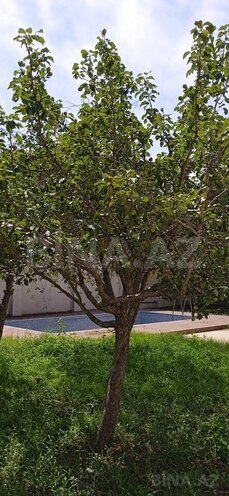 Продаётся 5-комн. дом/дача 258 м², пос. Сулутепе, photo 9 from 25