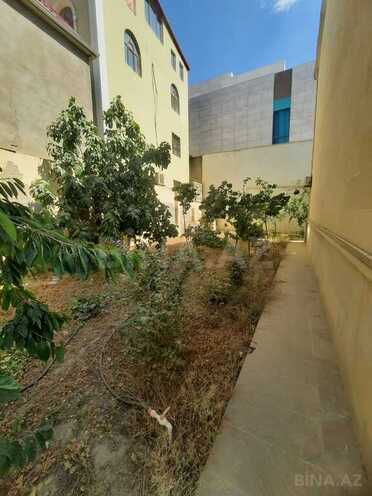 12 otaqlı həyət evi/bağ evi - Badamdar q. - 700 m² (20)