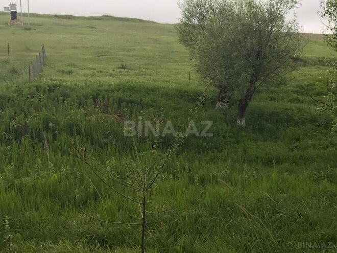Torpaq - Şamaxı - 35 sot (5)