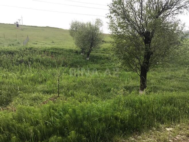 Torpaq - Şamaxı - 35 sot (4)
