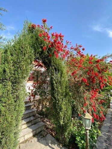 5 otaqlı həyət evi/bağ evi - Mərdəkan q. - 350 m² (9)