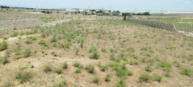 Satılır  torpaq 25 sot, Zirə q., photo 3 from 7