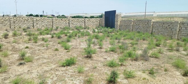 Satılır  torpaq 25 sot, Zirə q., photo 4 from 7