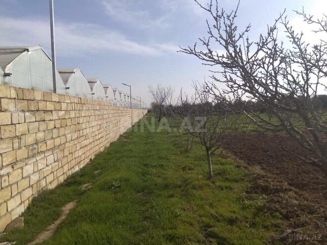 Satılır  torpaq 60 sot, Məmmədli q., photo 4 from 7