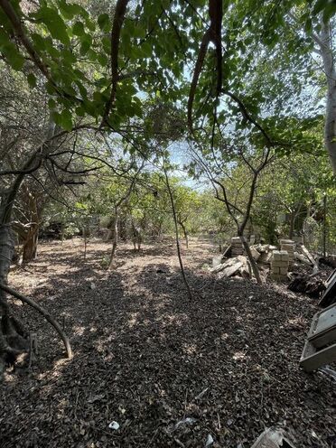 Satılır  torpaq 18 sot, Elmlər Akademiyası m., photo 5 from 8