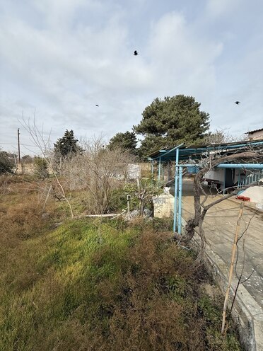Satılır  torpaq 12 sot, Abşeron r., photo 4 from 9