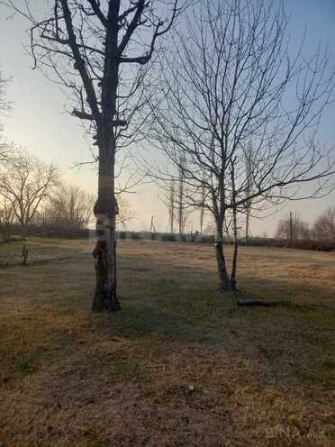 Satılır  torpaq 150 sot, photo 20 from 21