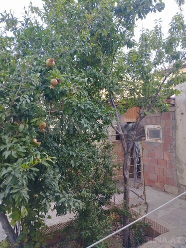 7 otaqlı həyət evi/bağ evi - Xocəsən m. - 260 m² (3)