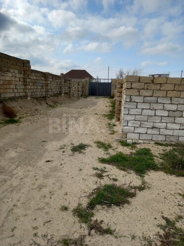 Участок - пос. Пиршаги - 12 сот (1)