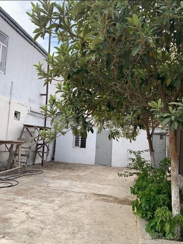 4 otaqlı həyət evi/bağ evi - Sulutəpə q. - 600 m² (15)