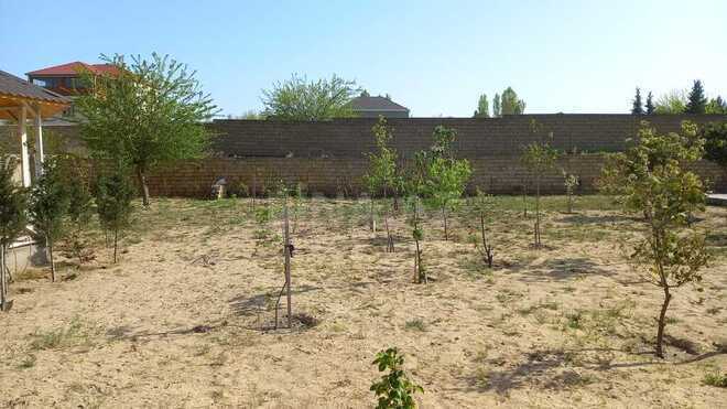 5 otaqlı həyət evi/bağ evi - Novxanı q. - 160 m² (21)
