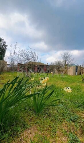 3 otaqlı həyət evi/bağ evi - Mərdəkan q. - 100 m² (1)