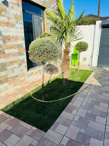 4 otaqlı həyət evi/bağ evi - Mərdəkan q. - 150 m² (9)