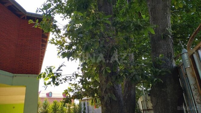 4 otaqlı həyət evi/bağ evi - Lənkəran - 130 m² (5)