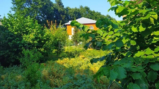 4 otaqlı həyət evi/bağ evi - Lənkəran - 130 m² (1)