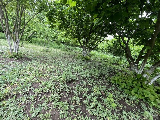 Продаётся  участок 4 сот, photo 4 from 18