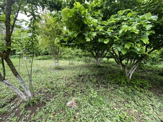 Продаётся  участок 4 сот, photo 3 from 18