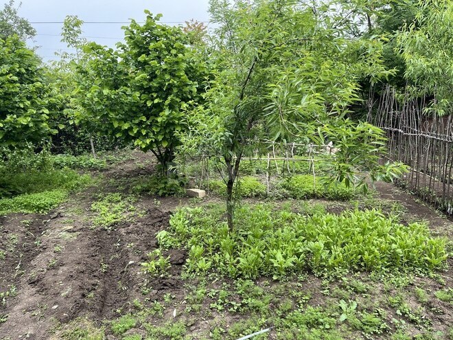 Продаётся  участок 4 сот, photo 16 from 18