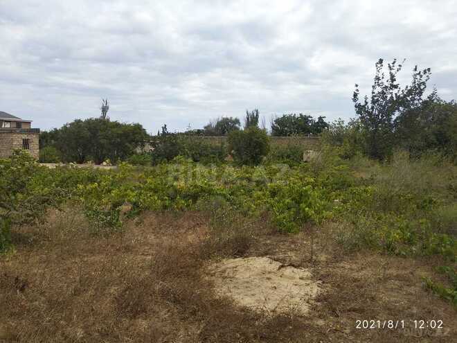 Продаётся  участок 3 сот, пос. Пиршаги, photo 3 from 12