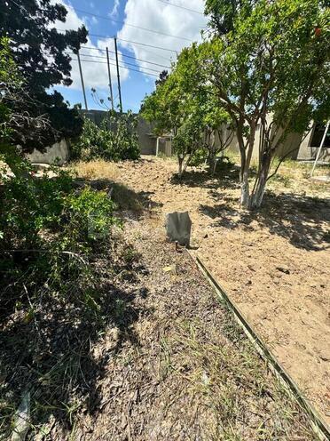 Продаётся  участок 3 сот, пос. Пиршаги, photo 5 from 12