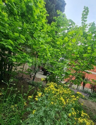 7 otaqlı həyət evi/bağ evi - Xaçmaz - 200 m² (6)