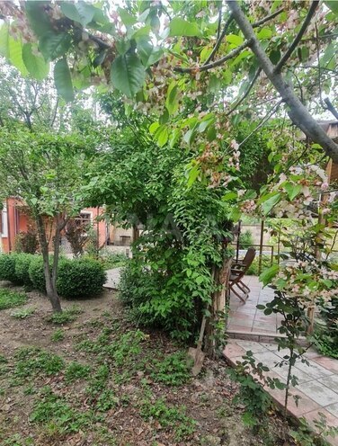 7 otaqlı həyət evi/bağ evi - Xaçmaz - 200 m² (7)