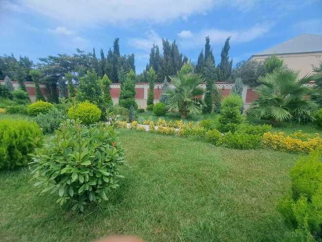 7 otaqlı həyət evi/bağ evi - Görədil q. - 420 m² (13)