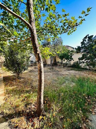 5 otaqlı həyət evi/bağ evi - Səbail r. - 333 m² (4)