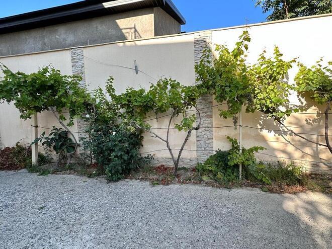 5 otaqlı həyət evi/bağ evi - Səbail r. - 333 m² (3)