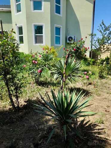 4 otaqlı həyət evi/bağ evi - Fatmayı q. - 220 m² (23)