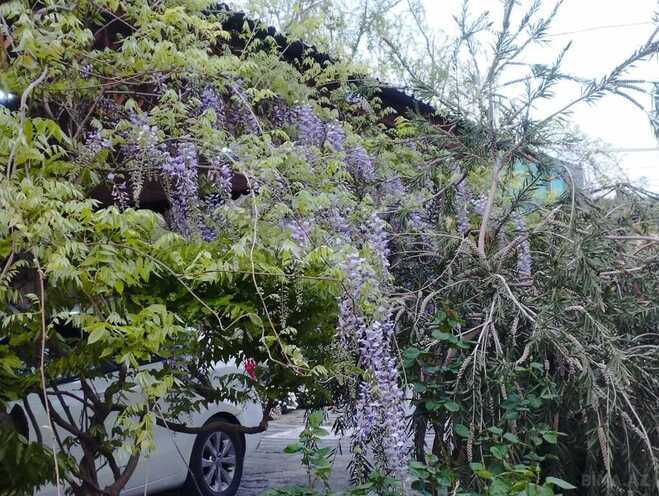 Продаётся 5-комн. дом/дача 300 м², пос. Мардакан, photo 5 from 21