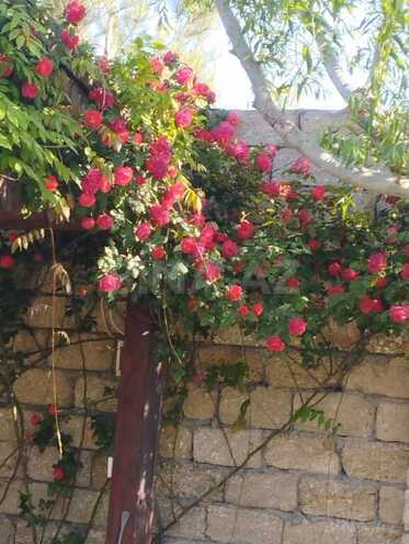 Продаётся 5-комн. дом/дача 300 м², пос. Мардакан, photo 17 from 21