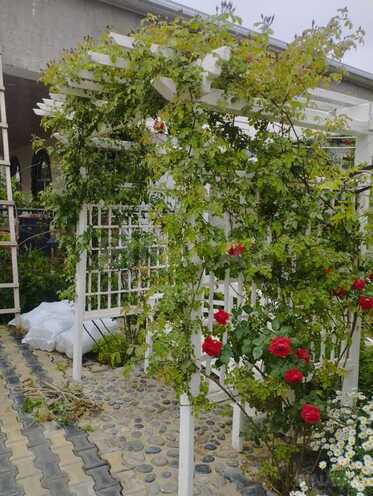 Продаётся 5-комн. дом/дача 300 м², пос. Мардакан, photo 4 from 21