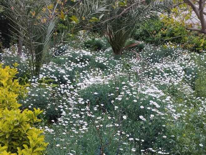 Продаётся 5-комн. дом/дача 300 м², пос. Мардакан, photo 15 from 21