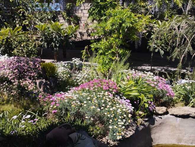 Продаётся 5-комн. дом/дача 300 м², пос. Мардакан, photo 18 from 21