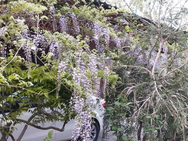 Продаётся 5-комн. дом/дача 300 м², пос. Мардакан, photo 19 from 21