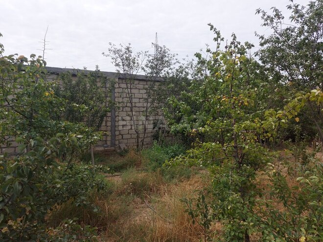 4 otaqlı həyət evi/bağ evi - Mərdəkan q. - 100 m² (25)