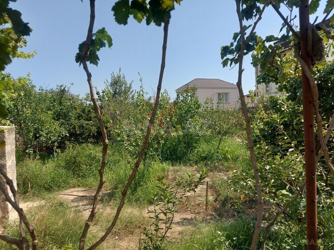4 otaqlı həyət evi/bağ evi - Mərdəkan q. - 100 m² (18)