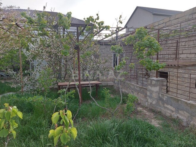 4 otaqlı həyət evi/bağ evi - Mərdəkan q. - 100 m² (12)
