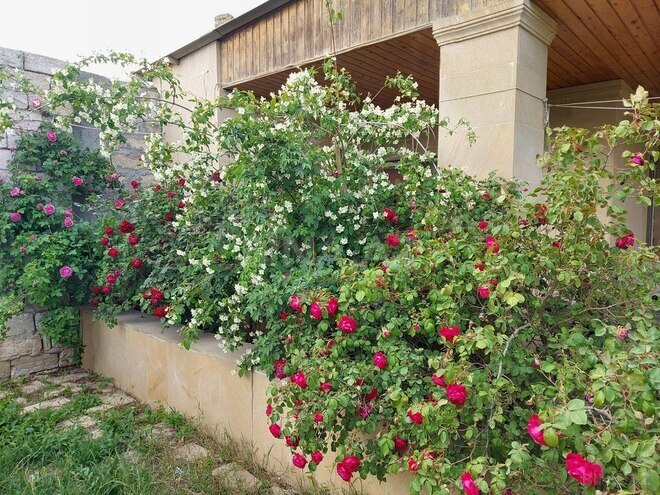 4 otaqlı həyət evi/bağ evi - Mərdəkan q. - 100 m² (14)