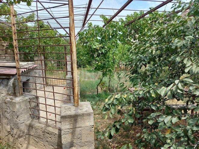 4 otaqlı həyət evi/bağ evi - Mərdəkan q. - 100 m² (11)