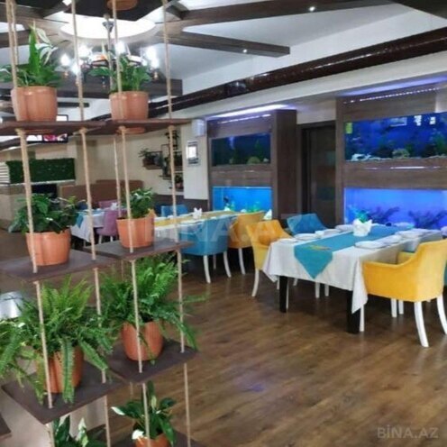 Obyekt - Nərimanov r. - 215 m² (2)