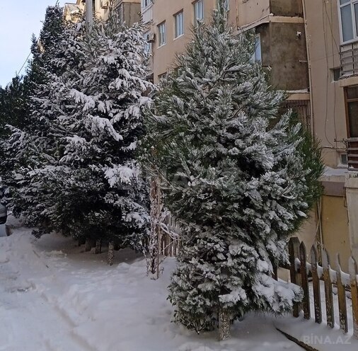 3-комн. вторичка - пос. Сулутепе - 83 м² (15)