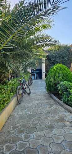 7 otaqlı həyət evi/bağ evi - Albalılıq q. - 450 m² (10)