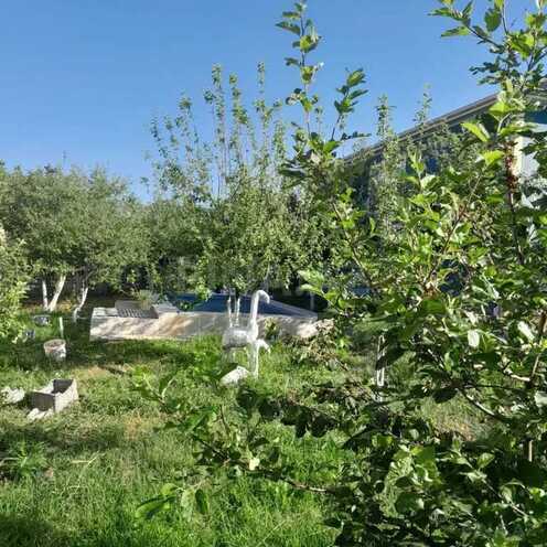 4 otaqlı həyət evi/bağ evi - İsmayıllı - 80 m² (20)
