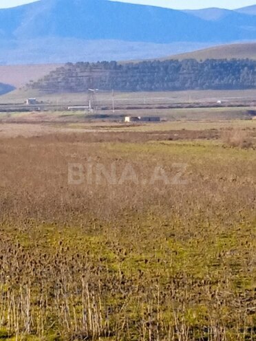 Torpaq - Şabran - 857 sot (4)