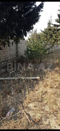 Torpaq - Avtovağzal m. - 10 sot (2)