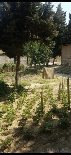 Torpaq - Avtovağzal m. - 10 sot (1)
